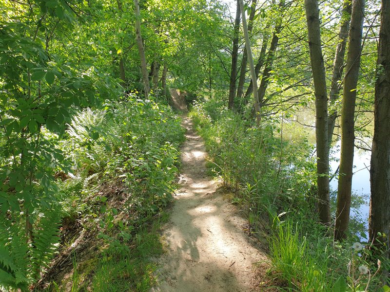 Ścieżka nad stawem