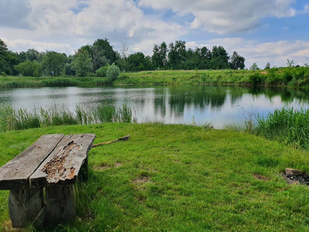 Staw dosłownie w zasięgu 30 sekund spaceru